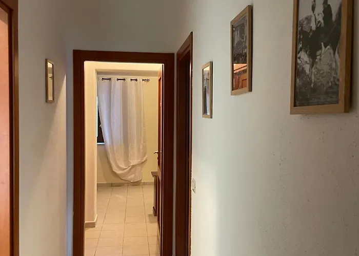 Palazzo 1815 3* Papasidero